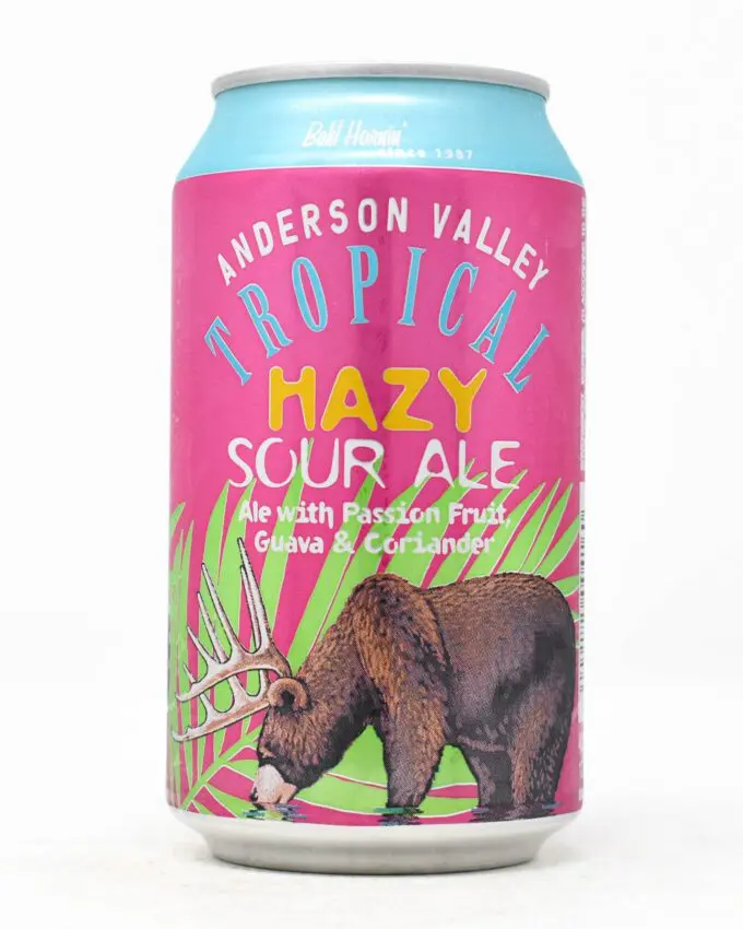 Anderson Valley, Tropical Hazy Sour Ale, 12oz Can