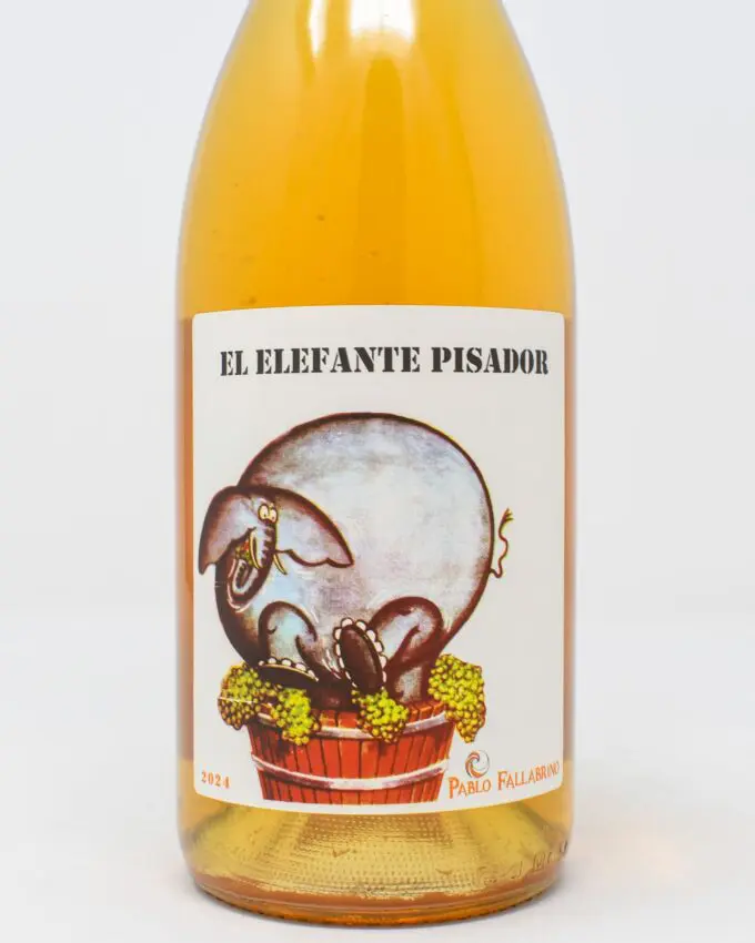 Pablo Fallabrino, El Elefante Pisador, Traminer, Uruguay 2024